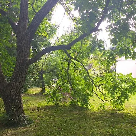 公寓 Szepvoelgyi Apartmanhaz *