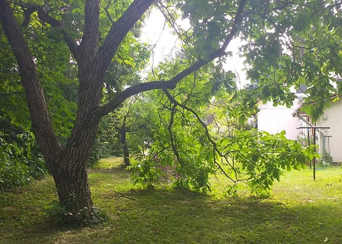 アパート Szepvoelgyi Apartmanhaz *